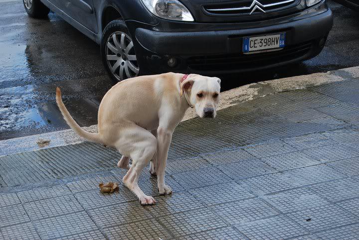Archivio Notizie Corriere di Sciacca
